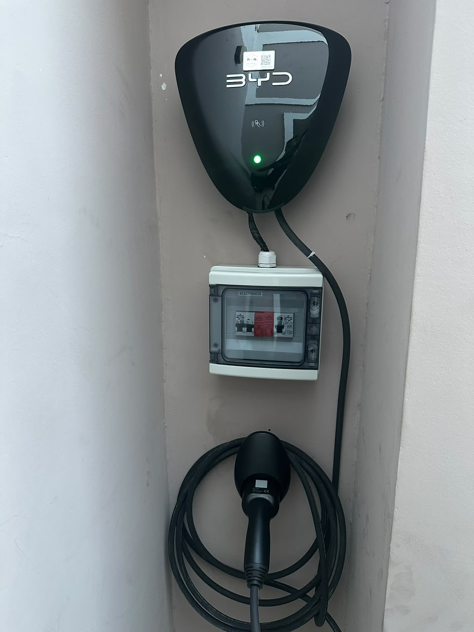 Wallbox BYD com quadro elétrico e cabo organizados
